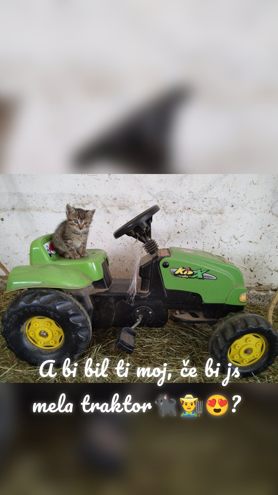 





A bi bil ti moj, če bi js mela traktor🐈‍⬛👨‍🌾😍? 